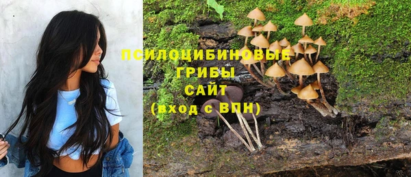 Альфа ПВП Беломорск