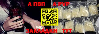 тгк Кингисепп