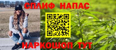тгк Кингисепп