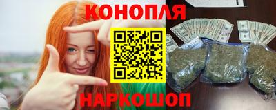 тгк Кингисепп