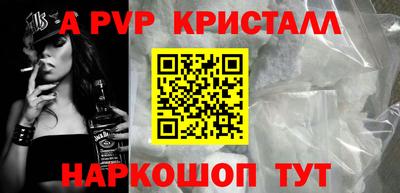 тгк Кингисепп