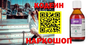 тгк Кингисепп