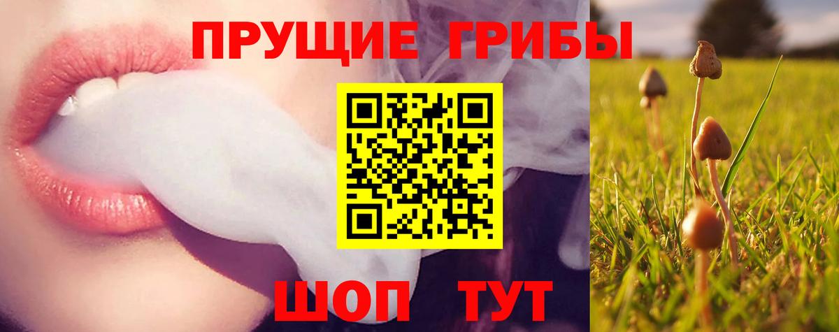 Псилоцибиновые грибы GOLDEN TEACHER Кстово